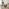 Penrose Oak Round Dining Table & 4 Tan Delta Chairs
