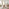 Penrose Oak Effect Round Dining Table & 4 Cream Roxy Chairs