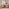 Penrose Oak Effect Wood  2 Door Large TV Unit
