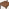 2x Polly Walnut Effect Wood Dining Chairs