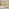 Padstow Cream Wooden Extending Dining Table & 6 Belgravia Chairs