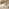 Padstow Cream Wooden Extending Dining Table & 6 Millford Chairs