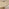 Penrose Oak Round Dining Table & 4 Grey Beaumont Chairs