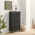 Penrose 3 Door Black Wood Shoe Storage Cabinet