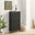 Penrose 3 Door Black Wood Shoe Storage Cabinet