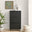 Penrose 3 Door Black Wood Shoe Storage Cabinet