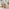 Penrose Oak Effect Round Wood Coffee Table and Side Table Set