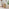 Penrose Oak Effect Round Wood Coffee Table and Side Table Set