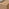 Penrose Oak Wood 3 Door Large Sideboard