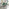 2x Pesaro Green Velvet Counter Stools Black Legs