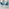 2x Pesaro Blue Velvet Dining Chairs Black Legs