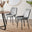 2x Pesaro Grey Velvet Dining Chairs Black Legs