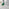 2x Pesaro Green Velvet Dining Chairs Gold Legs