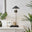 Poppy Matte Black and Brass Wall Light