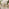 Porto Beige Rattan 4 Seat Garden Sofa & Chairs Set