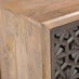 Rainier Square Walnut Wood 1 Door Decorative Side Table