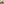 Rainier Square Walnut Wood 1 Door Decorative Side Table