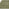 Rift Green Carved Arches Rug 160x230