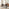Penrose Oak Effect Round Dining Table & 4 Brown Roxy Chairs