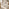 1x Roxy Cream Velvet Dining Chair