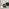 Romilly Green Fabric Swivel Accent Tub Chair