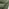 Romilly Green Fabric Swivel Accent Tub Chair