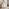 Selene Cream Melamine 3 Door Sideboard