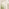 Somerset Cream Medium Arched Window 90x40cm Garden Mirror
