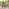Stowaway Wood 4 Seat Folding Table Garden Dining Set
