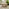 Stowaway Wood 4 Seat Folding Table Garden Dining Set