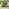 2x Stripe Outdoor Cushions (pair) - Green & Cream