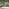 2x Stripe Outdoor Cushions (pair) - Green & Cream
