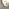 Saskia Gold Round Wall Mirror