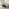 Sutton Round Black Veneer Wood Coffee Table