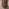 Sutton Walnut Veneer Wood Round Side Table