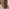 Sutton Walnut Veneer Wood Console Table
