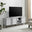 Svit Off White 2 Door and 2 Drawer Storage TV Stand