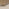 Tam Oak Wood Effect 2 Door Sideboard
