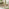 Tari & Asa Wood 4 Seat Round Table Garden Dining Set