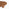 Teton Round Walnut Wood 3 Leg Coffee Table