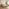 Tilly Cream & Bronze Fabric Ottoman Double Bed Frame