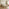 Tilly Cream & Bronze Fabric Ottoman Double Bed Frame