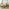 Tilly Cream & Bronze Fabric Ottoman King Size Bed Frame