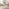 Tobermory Rectangular Whitewash & White Wood 4-6 Seater Dining Table