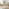 Tobermory Whitewashed Wood Dining Table & 2 Benches
