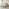 Trifle Taupe Velvet Ottoman Double Bed Frame
