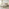 Trifle Taupe Velvet Ottoman Double Bed Frame