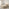 Trifle Beige Boucle Fabric Ottoman King Size Bed Frame