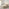 Trifle Beige Boucle Fabric Ottoman King Size Bed Frame