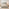 Trifle Taupe Velvet Ottoman King Size Bed Frame